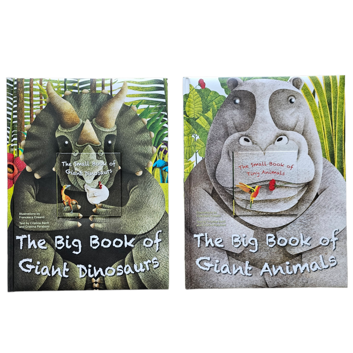 Biggest and Smallest Books Gift Bundle 25 discount Owl Readers Club