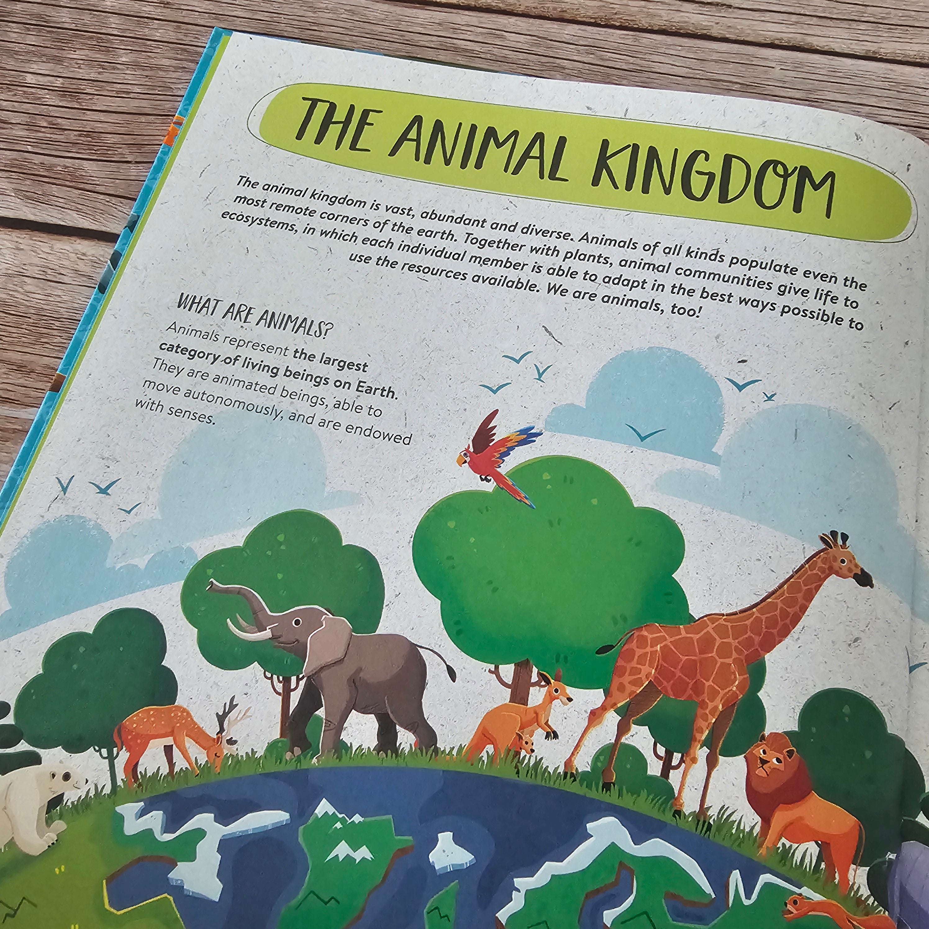 What, How, Why. Animals – Owl Readers Club