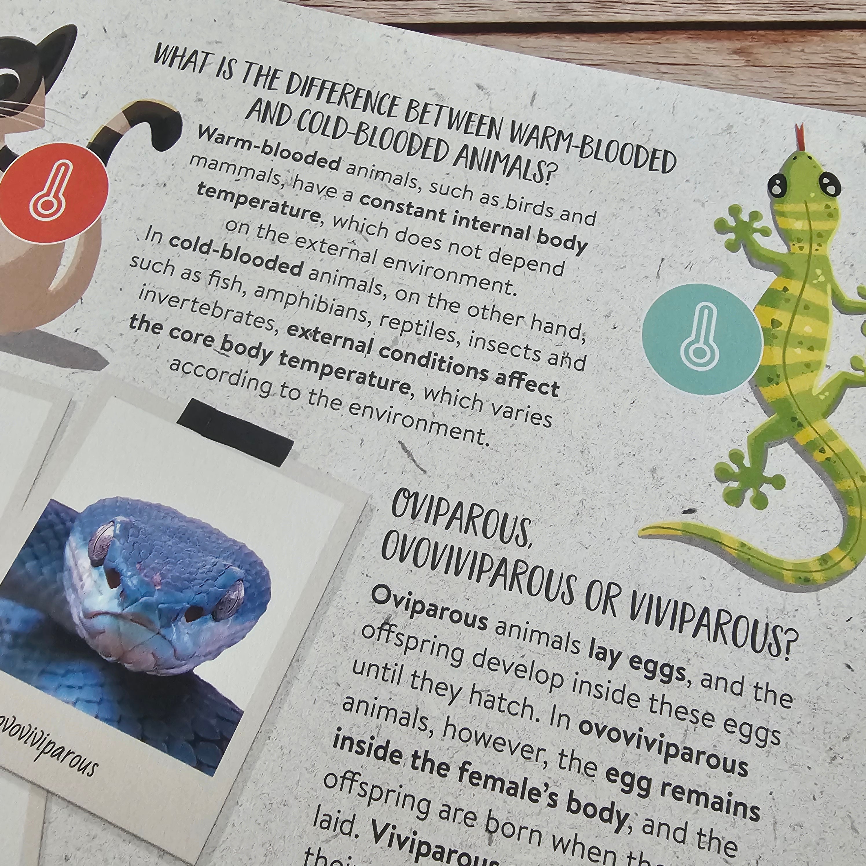 What, How, Why. Animals – Owl Readers Club