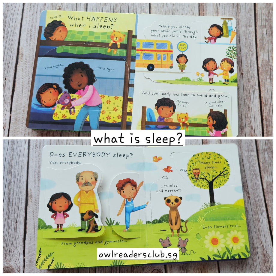 USBORNE Lift the Flap (Very First Questions and Answers