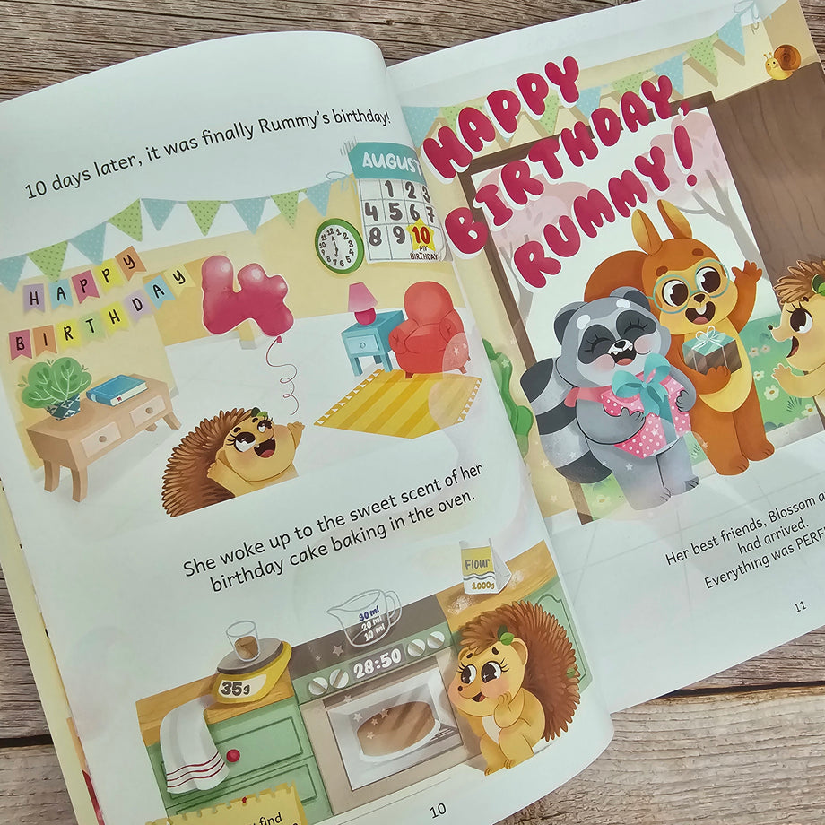 The Perfect Birthday – Owl Readers Club
